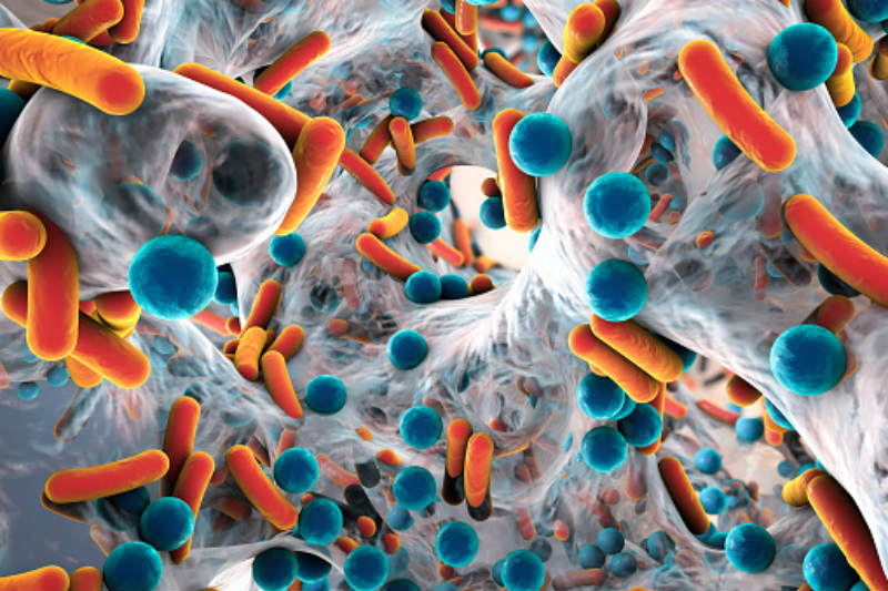 Threat of antibiotic-resistant infections