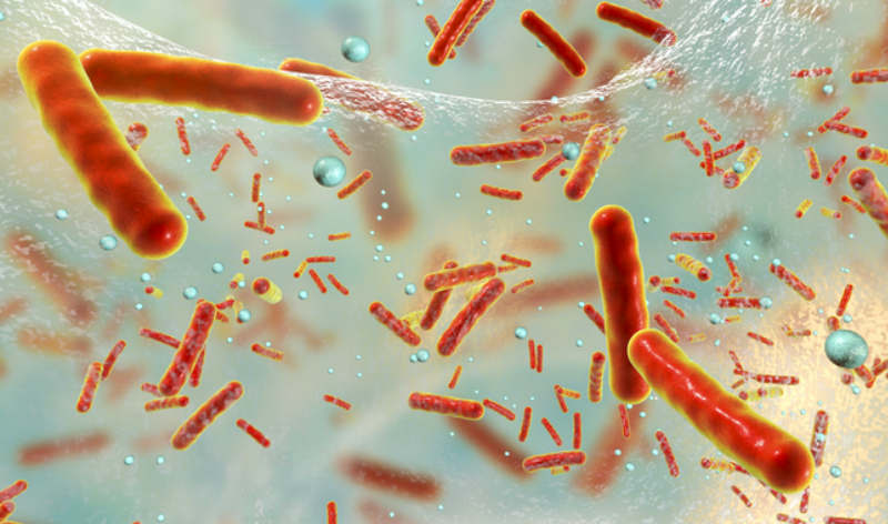 resistant bacteria
