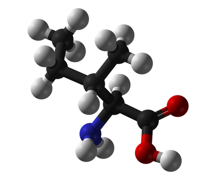 Branched-chain amino acids (BCAAs) linked to insulin resistance and cause type 2 diabetes