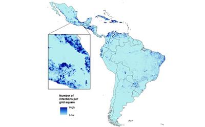 Zika virus projections