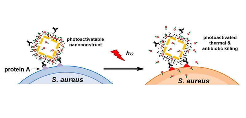 Photoactive nanodrug thwarts  photoactive nanodrug that could defeat antibiotic-resistant infections