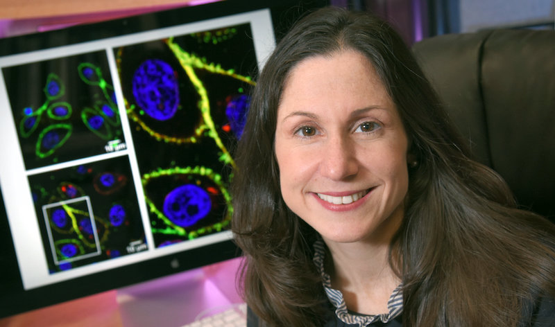 Kathryn O’Donnell, PhD, of UT Southwestern 